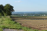 Mošnovy