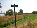 Řeka Jevišovka