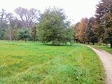 Božický lesopark