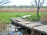 Božický mokřad