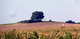 Žuráň