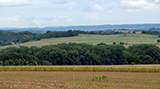 Remízek