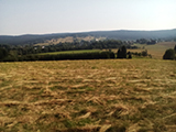 Český kopec
