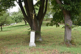 Dvořiště